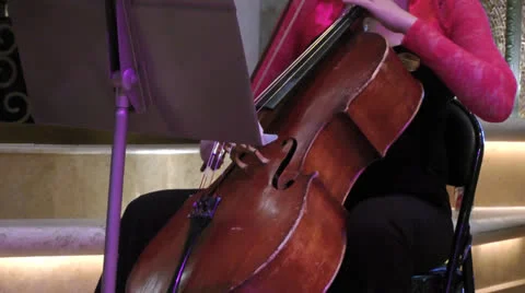 Cello 1 Stock Footage 25908349