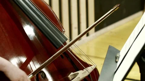 Cello 121 Stock Footage 164462578