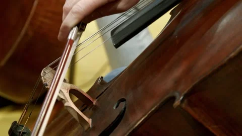 Cello 124 Stock Footage 164461442