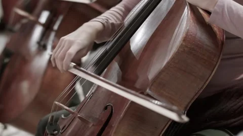 Cello 16 Stock Footage 164461415