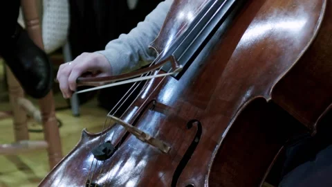 Cello 163 Stock Footage 164462512