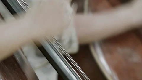 Cello 183 Stock Footage 164462536