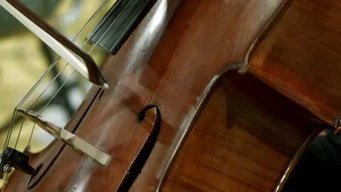 Cello 26 Stock Footage 164461429