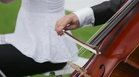Cello and flute Stock Footage 60033491