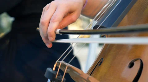 Cello and Harpist Video stock 39653764