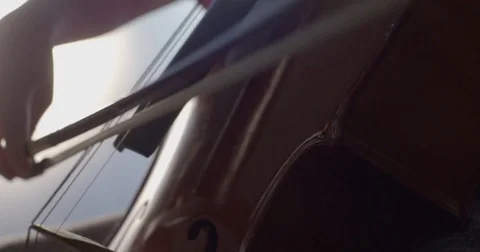 Cello bow drawn across strings. White Background Stock Footage 73968598