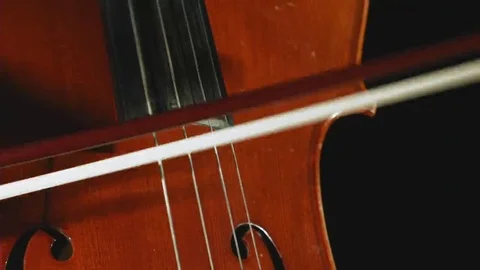 Cello Close Up Vidéo 69239851