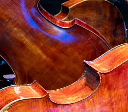 Cello closeup on dark background 写真素材