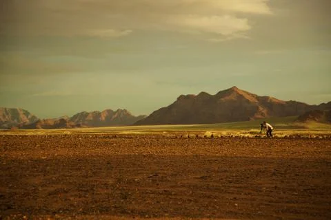 Cello in desert Stock Photos