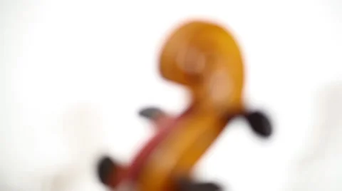 Cello head macro rack focus Vídeos de archivo 50905472