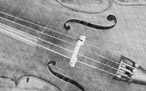 Cello or violin Stock Photos