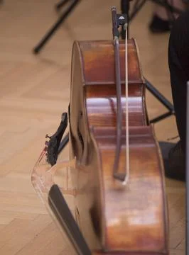 Cello or violoncello, string instrument played with a bow Stock Photos