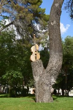 Cello out of the dry trunk of a pine tree in La Concordia Park as a tribute.. Foto stock