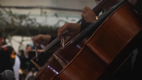 Cello performing, close up Video stock 82224021