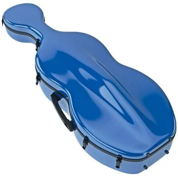 Cello plastic case 스톡 일러스트