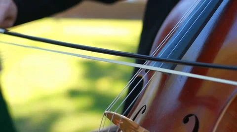 Cello player classical Stock Footage 33063438