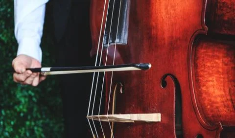 Cello player with focus on the hand, close up picture. Musician playing bass  Stock Photos