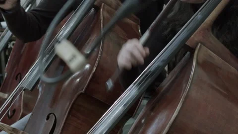 Cello Player Stock Footage 164534188