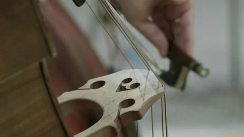 Cello Player Stock Footage 164534209