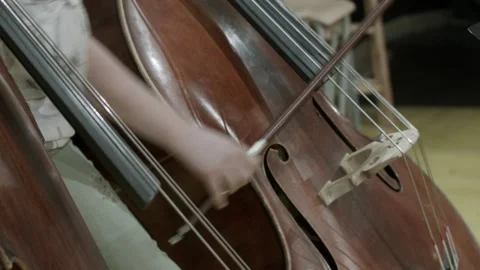 Cello Player Stock Footage 164534918