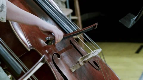 Cello Player Stock Footage 164543087
