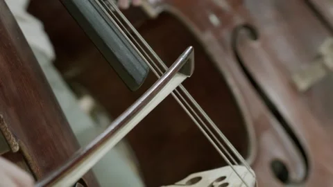 Cello Player Stock Footage 164543114