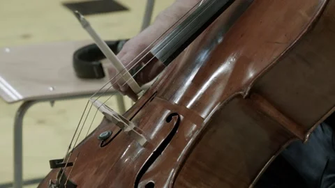 Cello Player Stock Footage 164543381