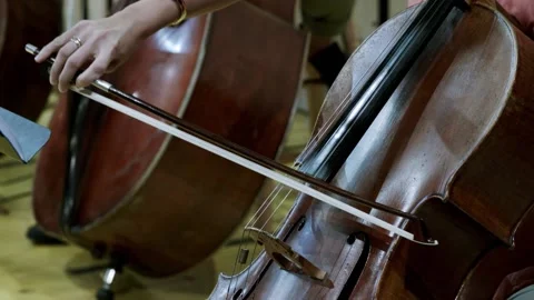 Cello Player Stock Footage 164543428