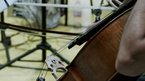Cello Player Stock Footage 164543459