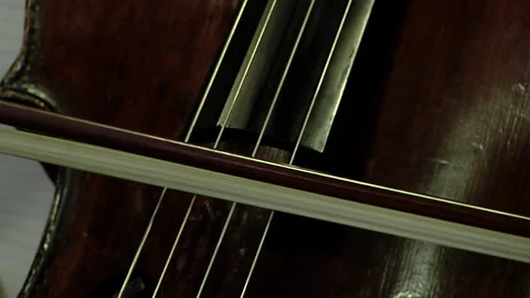Cello Player, A Man Playing the Cello. Close Up. Stock Footage 254598633