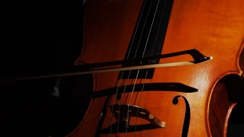 Cello Player in the Shadows Video stock 111911801