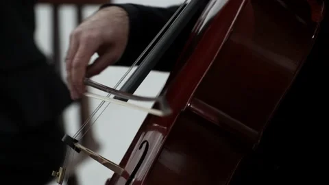 Cello playing classical music on quartet orchestra, closeup of string and Stock Footage 151059202