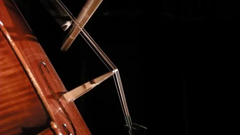 Cello Playing Side View Видео 69236088