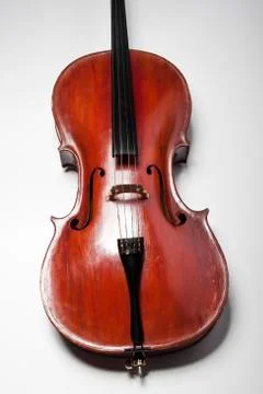 Cello on a white background Stock Photos