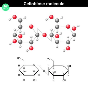 Cellobiose molecular formula Illustrazione stock