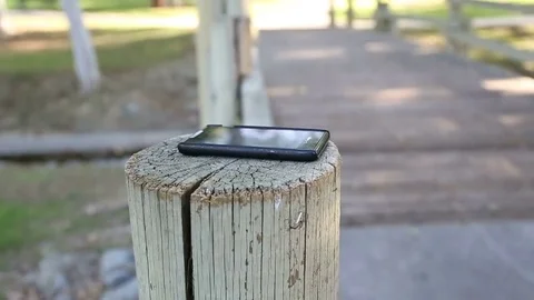 Cellphone Left on Stump in the Park  Stock Footage 71037516