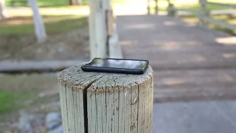 Cellphone Left on Stump in the Park Stock Footage 71038750