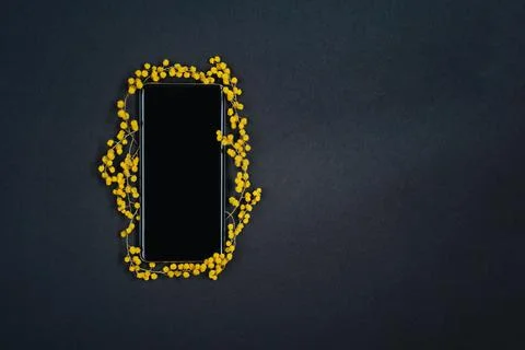Cellphone in mimosa frame Stock Photos