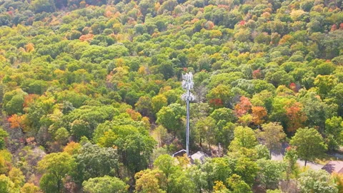 Cellphone Tower in Forest series 4K Stock Footage 218570536