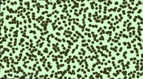 Cells 003 Video stock 17731230