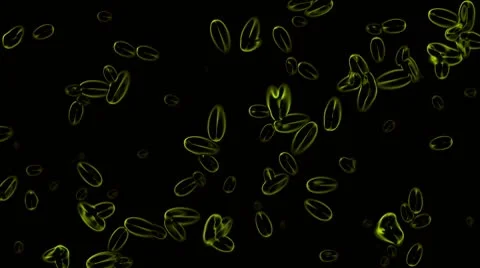 Cells and plankton,worm and bubble soap,microbe,seed spore. Stock Footage 8838570