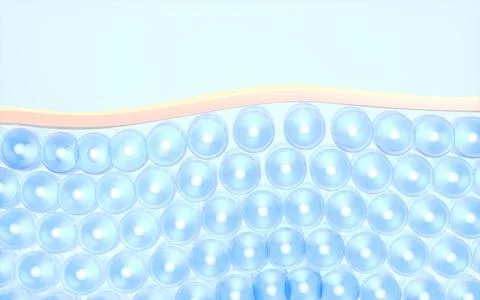 Cells and skin, 3d rendering. Stock Illustration