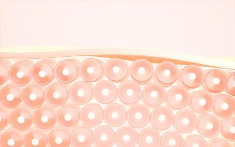 Cells and skin, 3d rendering. Stock Illustration