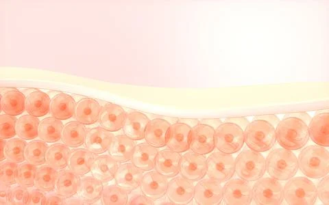 Cells and skin, 3d rendering. Stock Illustration