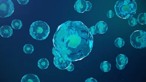 Cells, bacteria abstract background. Cells under microscope. Human cells on blue Stock Footage 97883051