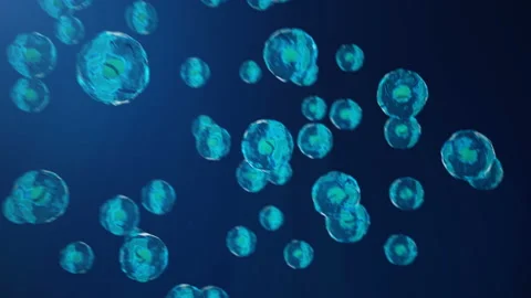 Cells, bacteria abstract background. Cells under microscope. Human cells on blue Stock Footage 97883209