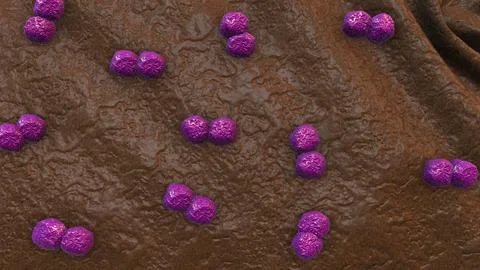 Cells of bacteria or viruses イラスト素材