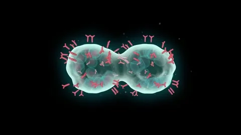 Cells in the blood Stock Footage 282153460