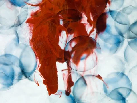 Cells with blue border transparent red paint dispersed in water Illustrazione stock