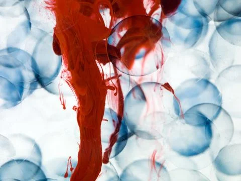 Cells with blue border transparent red paint dispersed in water Illustrazione stock